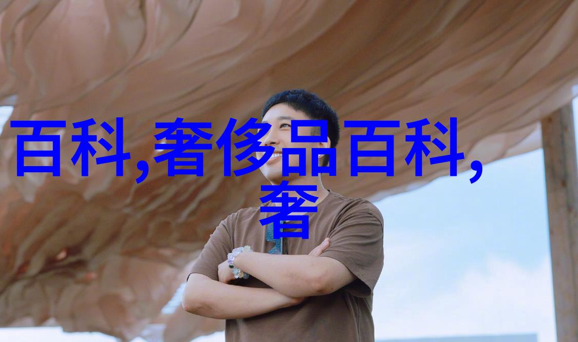 秘密代码守护梦想的数字