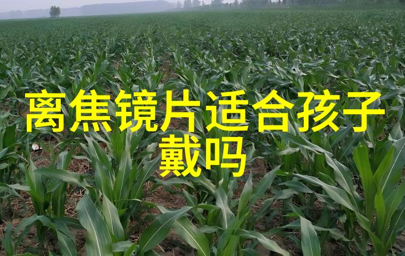 2021假期表揭秘法定节假日规划新年假期之旅
