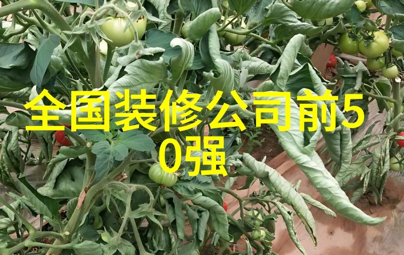凡尘飞仙我的魔法之旅
