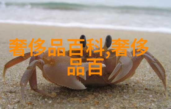 重庆高考答案之谜2014年的那些隐秘选择