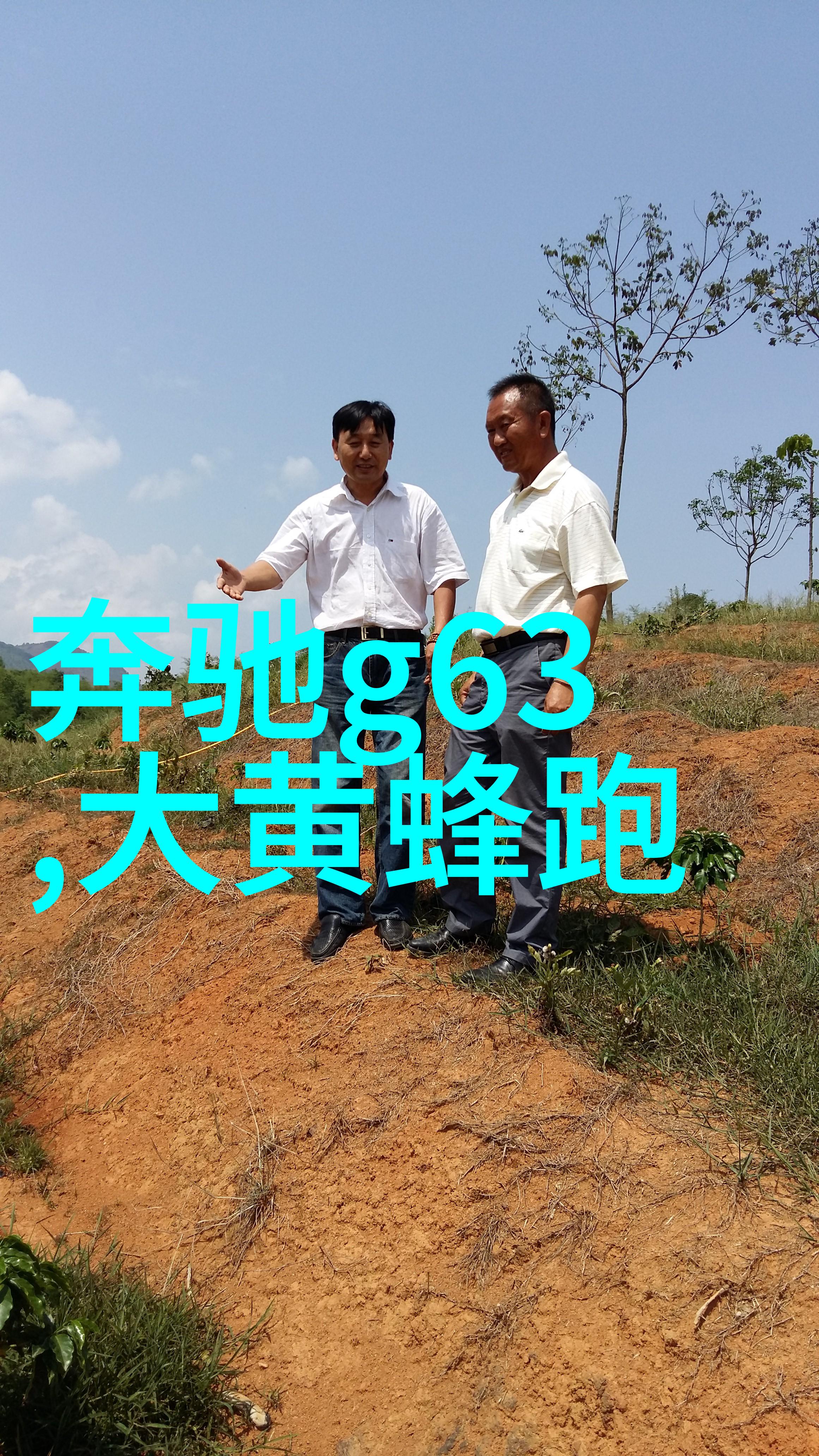 林晓慧金山的小说 - 金山下的梦想林晓慧小说集