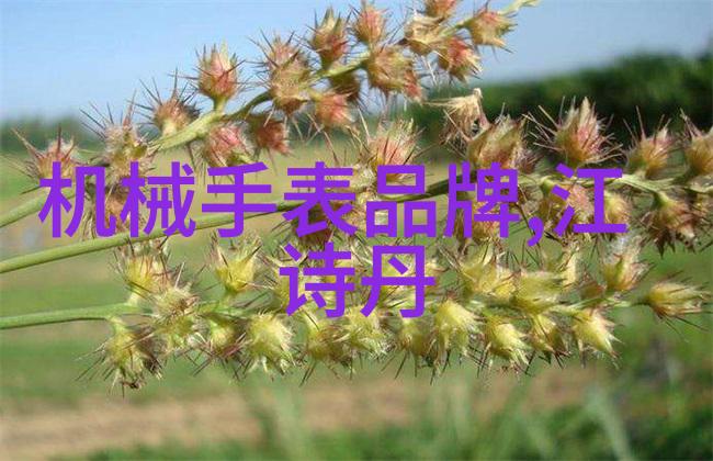 十大宝石种类排名钻石红宝石蓝宝石绿宝石黄金黄玉等