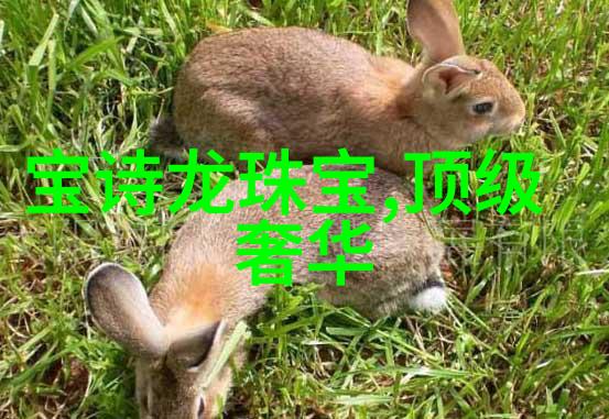 哥斯拉-10山崎贵执导的新作免费观看韩国日本电影