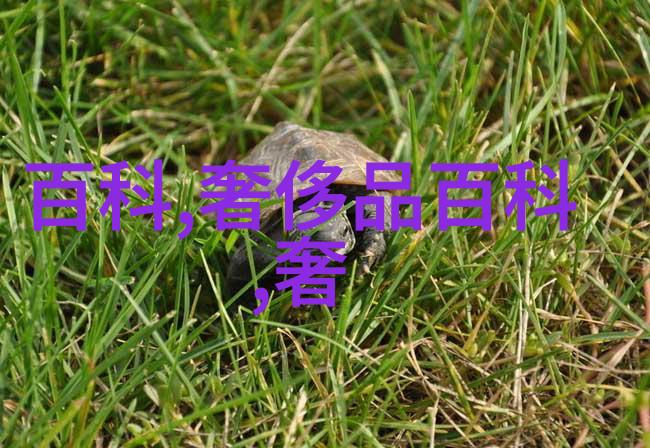 劳斯莱斯车标在社会中首次亮相法拉利458 Speciale A拍出90万美金