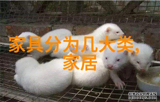 在云端的翅膀下彩虹圈绘制梦想