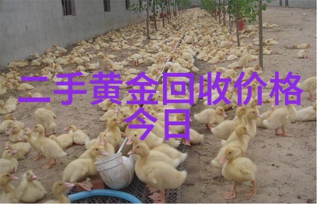 北京奔驰价格如同一幅精细绘画每笔每划都透露着豪华与品质