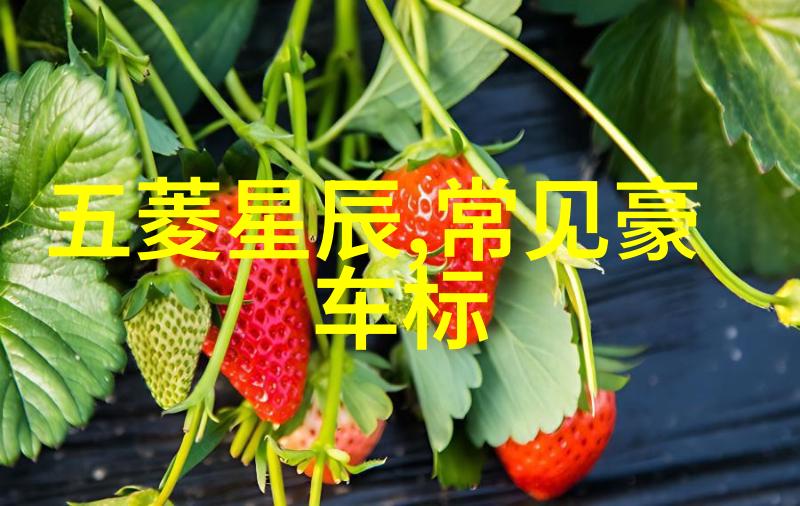 女主播朴妮唛种子直播间里的花样生活与数字化梦想