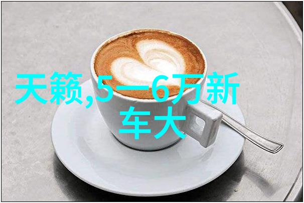 家具定制指南精选款式量身打造您的梦想空间