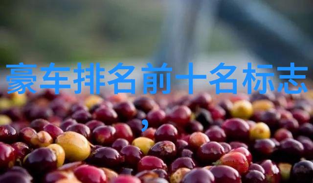 流血的诗行2pac灵魂的反思