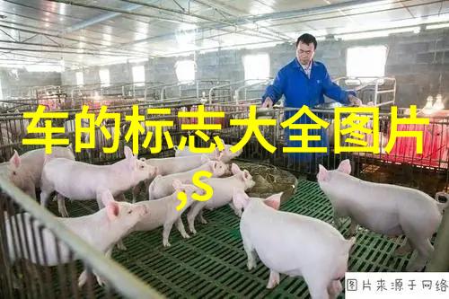 新年福邸国际家居联合平安银行VIP软装体验探索自然之美于家具市场批发市场