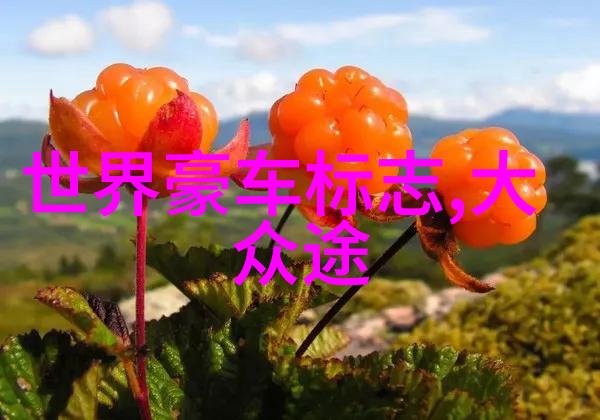 小厨房收纳何须买橱柜占地方不锈钢壁挂置物架节省空间承重强