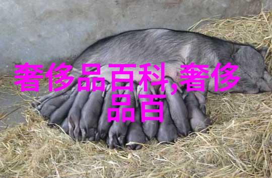 新手学绑头发的简单技巧轻松学会各种风格