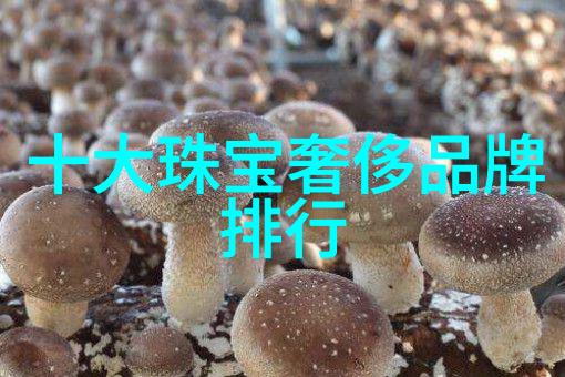 超越极限XX世纪末的科技奇迹与未来的展望