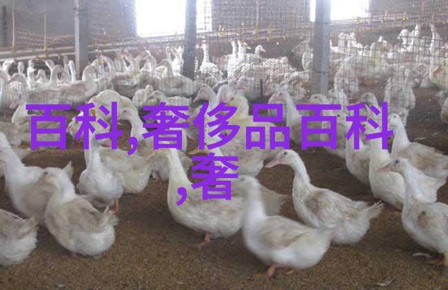 画面交错一边亲着一面膜的免费版电视时代