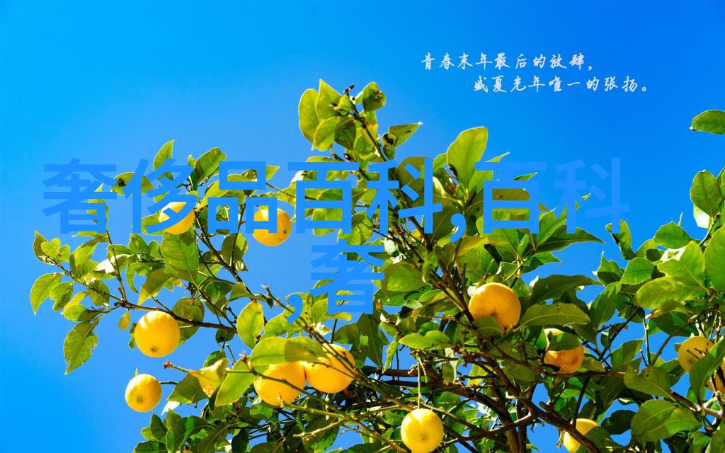 火花蛋蛋1113-激情点燃梦想成真火花蛋蛋1113的传奇旅程