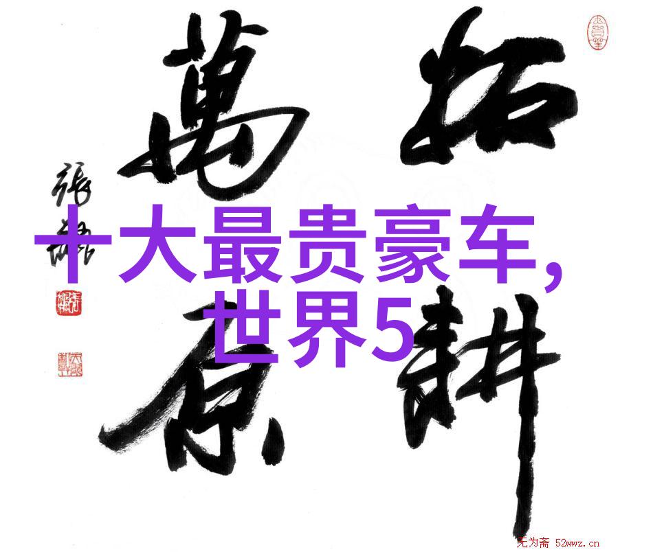 女士理发视频教程精致造型技巧解析