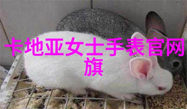 4D影院沉浸式体验的未来