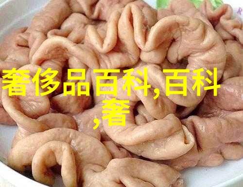 衣邦人探究其文化符号与社会身份的学术研究