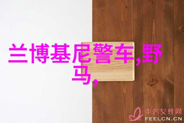 裤衩我的夏日不羁