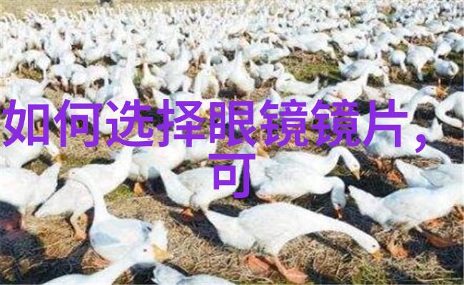 荒漠中的守望者羊驼的不屈精神