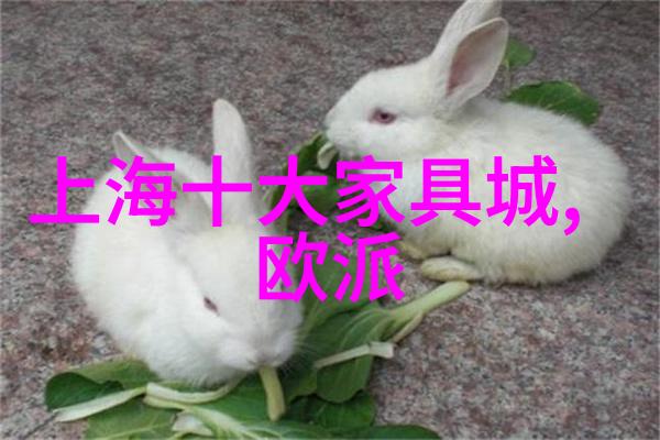女生短发发型之美学探究从视觉感受到文化符号