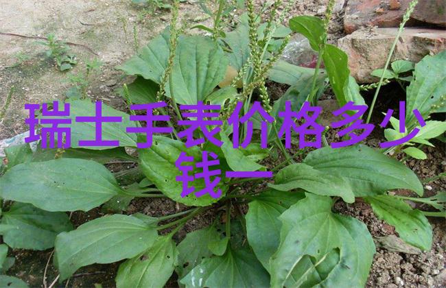 现代社会对于超 skinny 模特有什么新的态度和要求吗