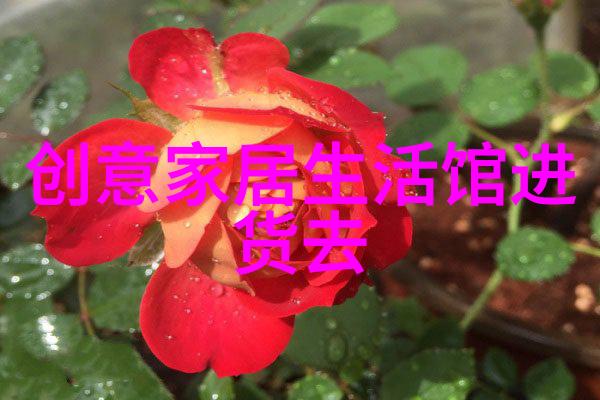 时尚潮流-剪刀手舞动揭秘现在最流行的男生发型