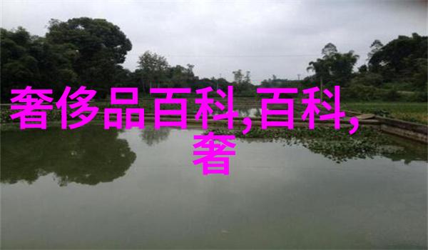剪刀与理发机学会一手好发型多久是最佳学习时间