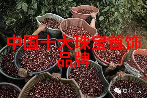 数字资产管理革命卡尔文克莱恩在哪里引领潮流