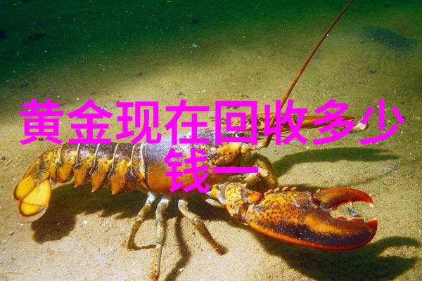 男人味香水尽情挥洒追逐梦想
