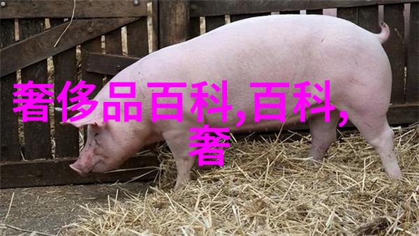 发型屋社会热门10款最漂亮发型3dmax软件免费下载助你设计美丽新造型