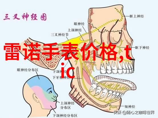 母亲与我话中文 - 母亲的语言里藏着无尽的爱与智慧