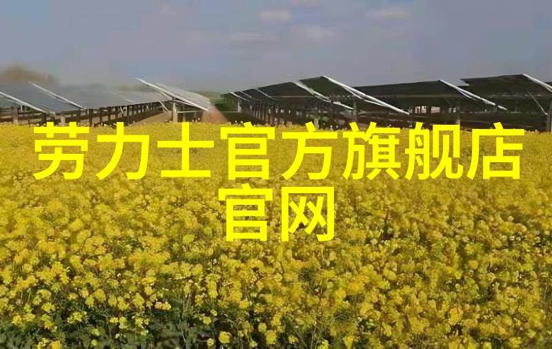 男装界的秘密花园时尚先生背后的神秘故事
