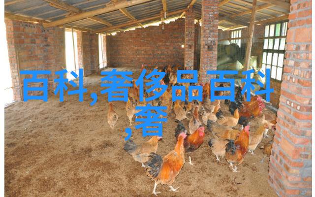 未来生活我在2035年如何变得科技大师