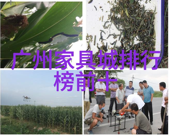 生活中不可或缺的3322电话号码货币单位与时间编码