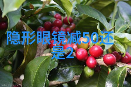 星辰之下寂灭万乘的秘密篇章