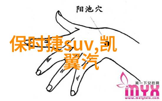 绯红的秘密解读格雷的50道阴影背后的心理游戏