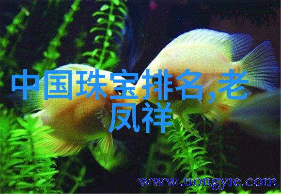 年轻的继承者韩国电影中的新一代