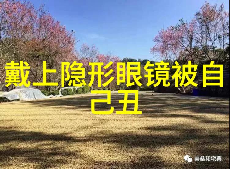 李心洁中国内地女演员