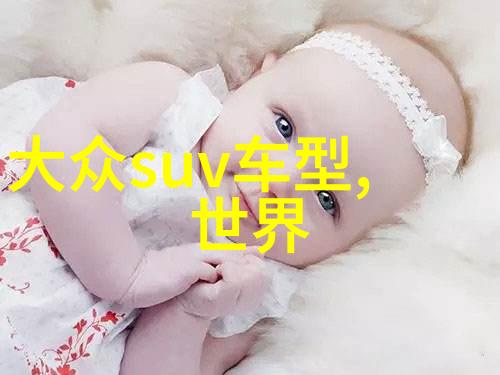 皮尔卡丹数字货币的安全意识与风险管理