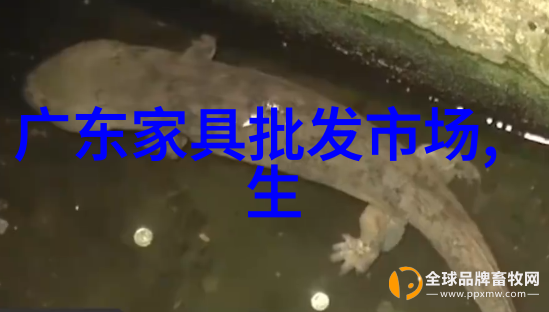 白洁一夜七次情欲纠葛与爱的探索
