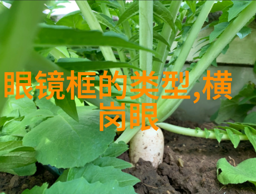 一生一世美人骨古代篇