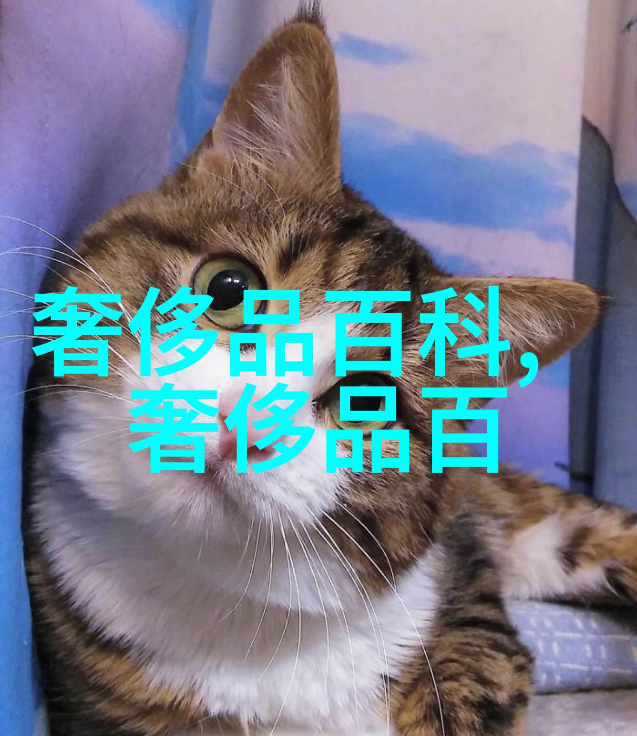 牛仔风格破浪的精神与时尚的舞步