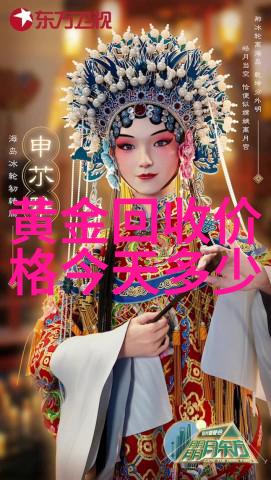 300309-数字之谜解读300309背后的文化与科技秘密