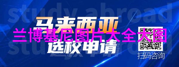 理发学徒实习场所选择探索理发学徒的完美练手地