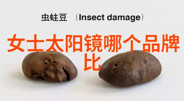 验光技师训练营提升专业技能保障用户体验