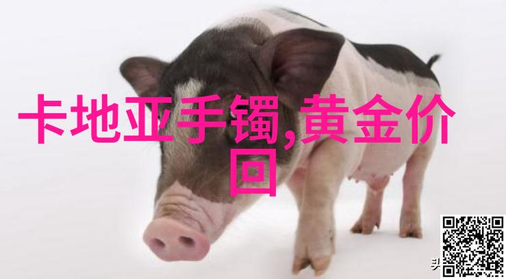 工作会议室穿搭攻略中性色彩的选择与组合