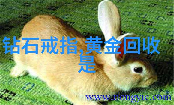 家有老人小孩并且住高层的朋友们在紧张家用的也要准备一个