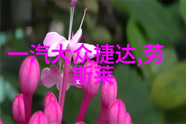 每天早上Cindy通常会做些什么来启动自己的日程吗