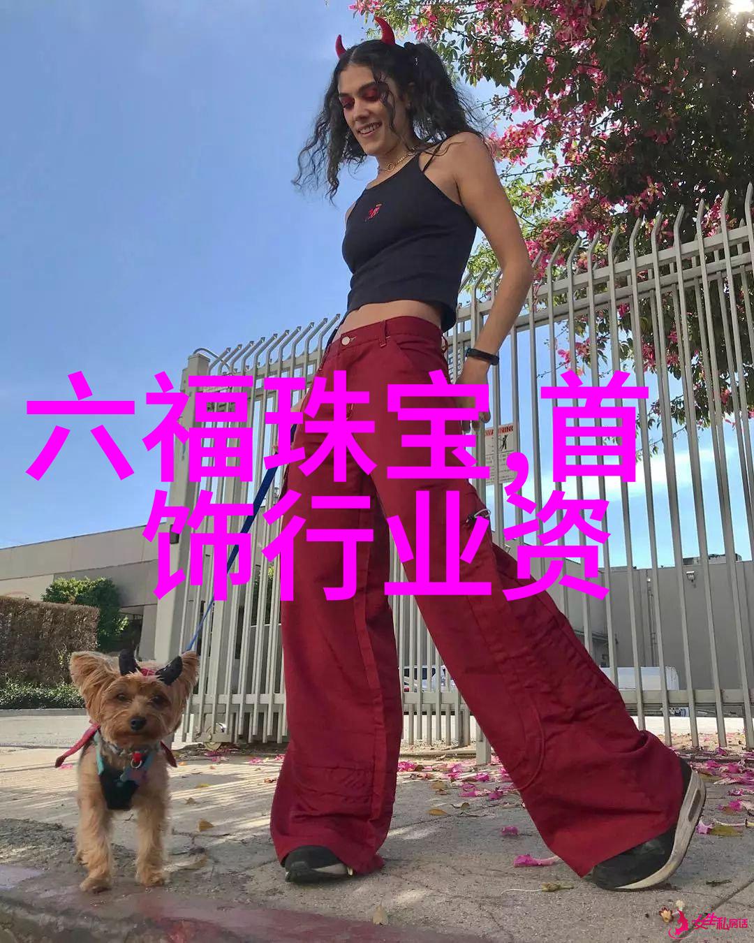 霍利斯特一位永恒的英雄传说